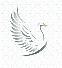 Anmutiger fliegender Schwan